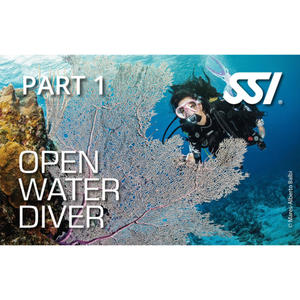 Open Water Diver updated
