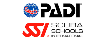 PADI vs SSI