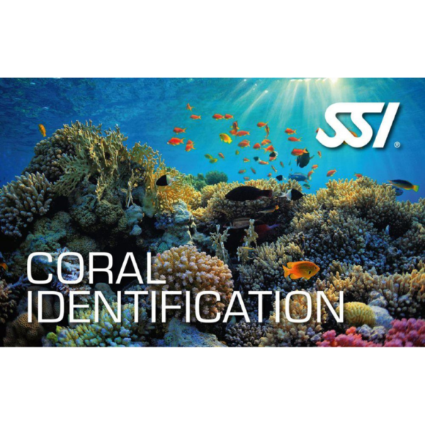Coral ID Ecology