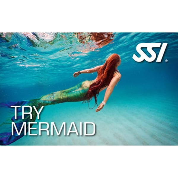 Try Mermaid