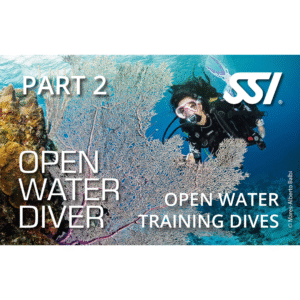 Open Water Checkout Dives