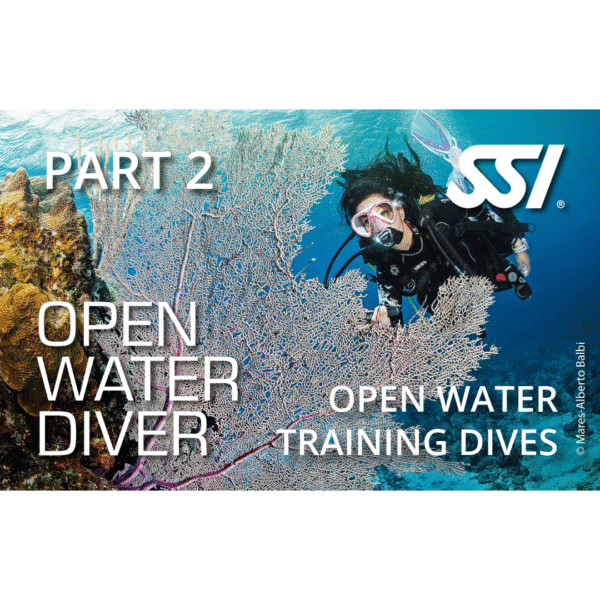 open water diver checkout dives updated