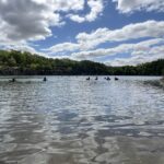 Beautiful Day with Divers at France Park